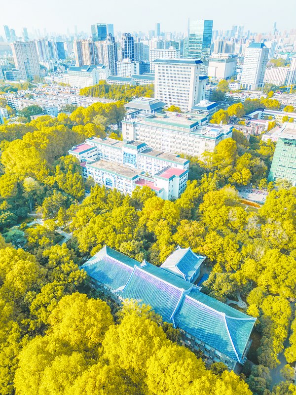 图/于洋