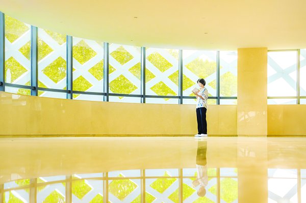 图/肖扬
