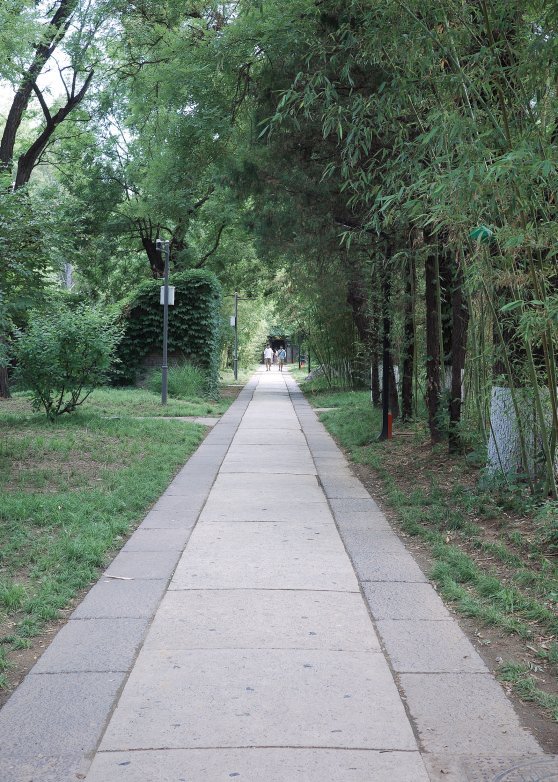 燕南園洋灰路整治前(左)與整治后(右)