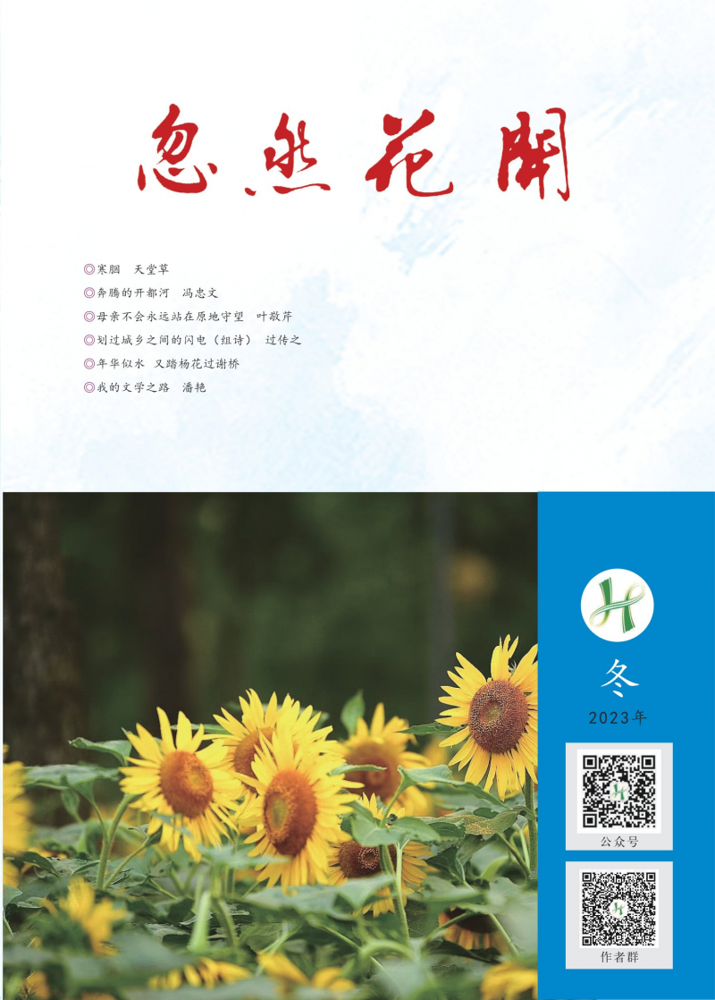 2023年第4期