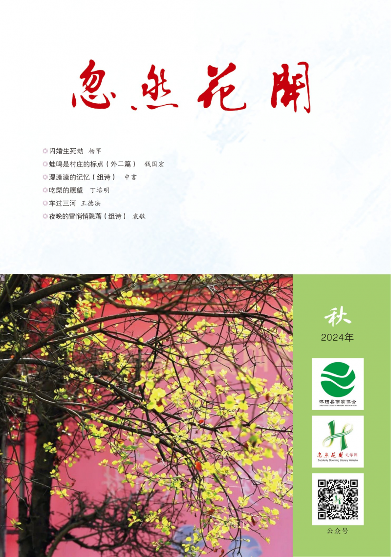 2024年第03期