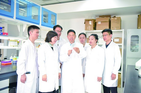 破解植物科學領域世紀難題山東農(nóng)大科研團隊揭示單個體細胞發(fā)育成完整植株全過程