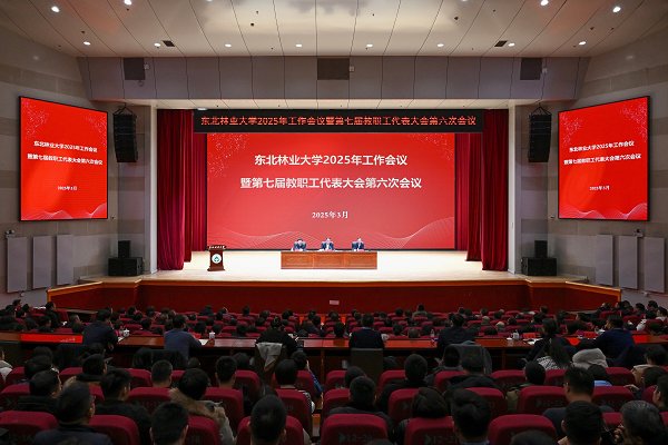 2025東林全力開創(chuàng)學校各項事業(yè)新局面