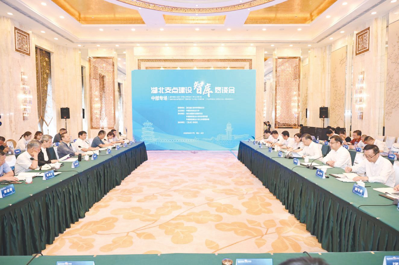 学校主办湖北支点建设智库恳谈会（中部专场）