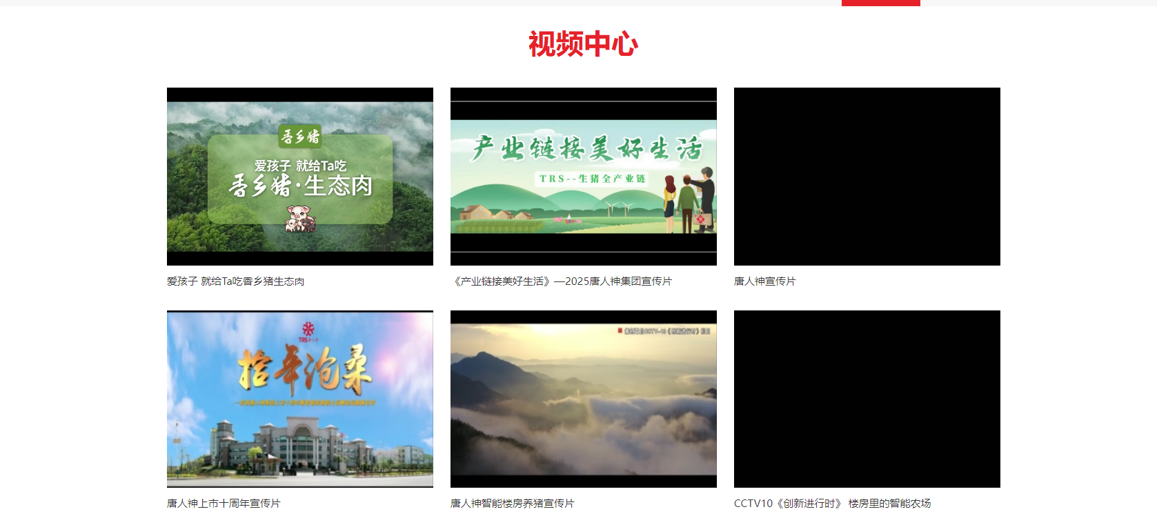 唐人神集團(tuán)股份有限公司