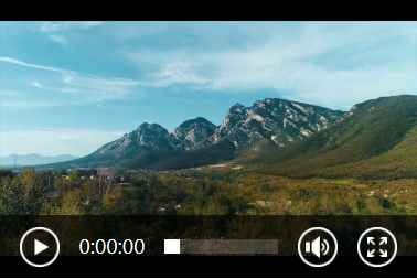 河南經(jīng)貿職業(yè)學院