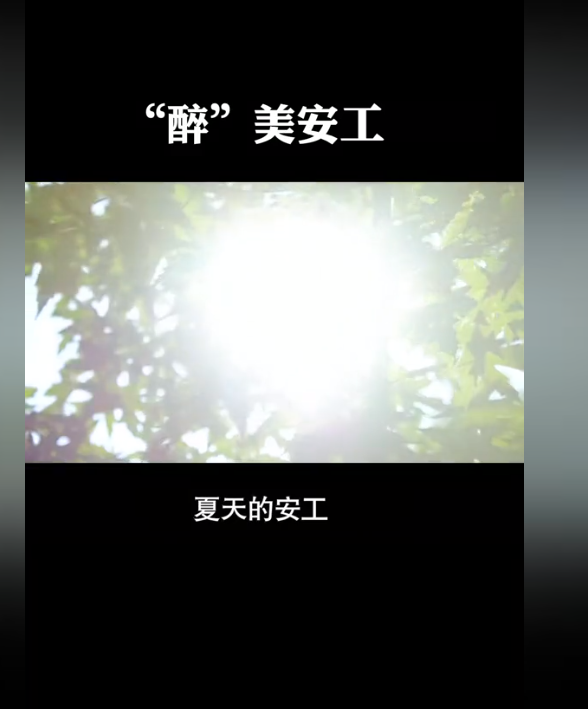 安陽(yáng)工學(xué)院