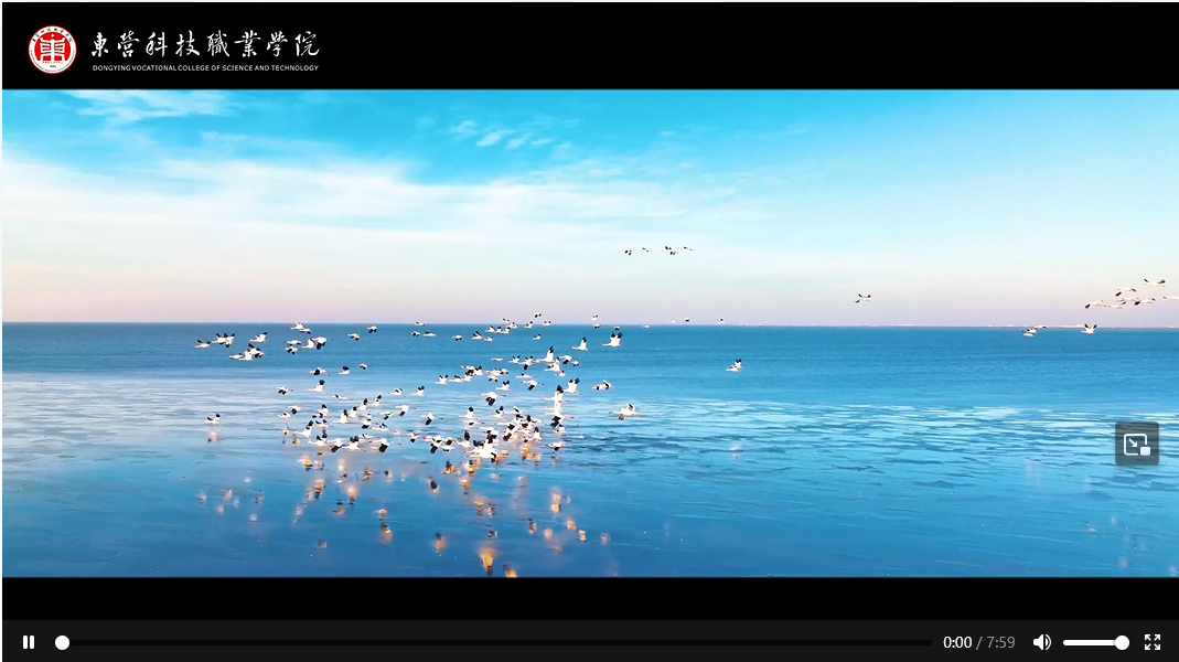 東營科技職業(yè)學(xué)院