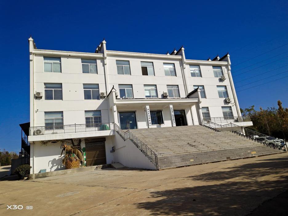 武漢樂神三寶蜂業(yè)有限公司簡(jiǎn)介