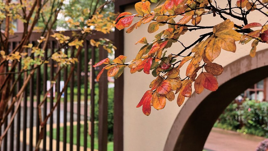 本期導(dǎo)讀：