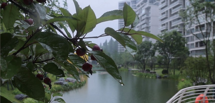 本期導(dǎo)讀：