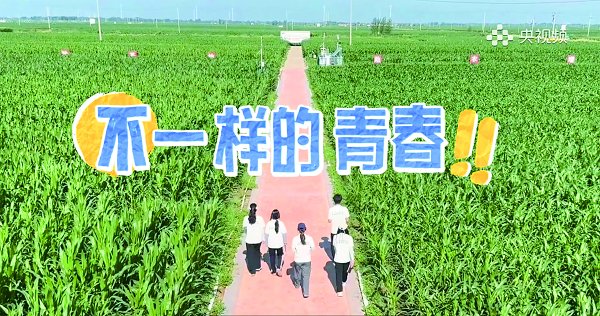 從《不一樣的青春》到《南澗小米》，山農(nóng)學子—用青春旋律為鄉(xiāng)村振興賦能本報記者趙秀明...