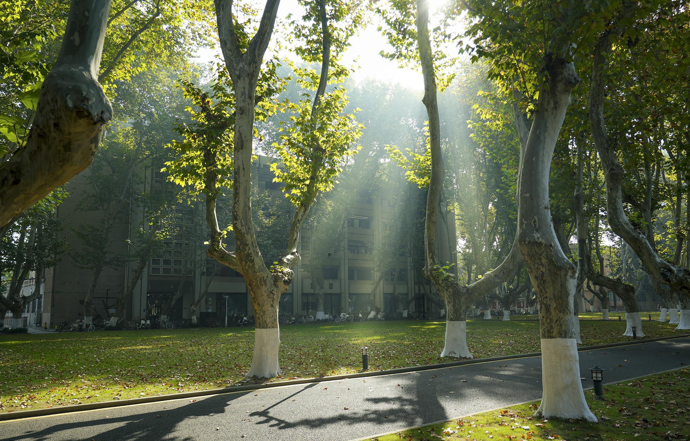 第九届习近平新时代中国特色社会主义思想高层论坛在宁举行