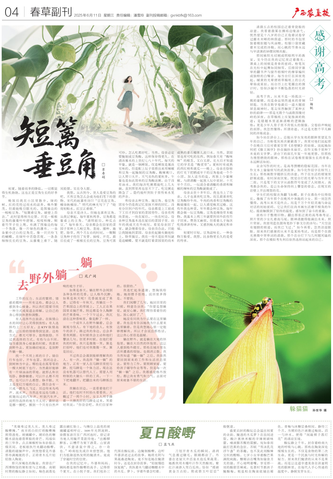《广西农垦报》