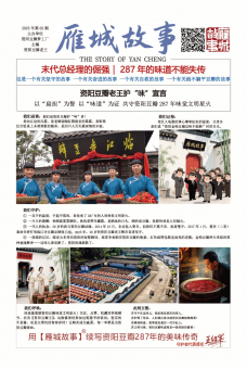 《雁城故事》